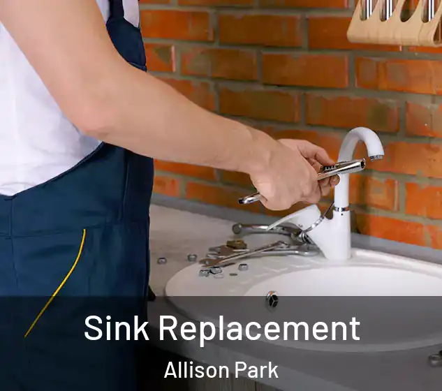  Sink Replacement Allison Park
