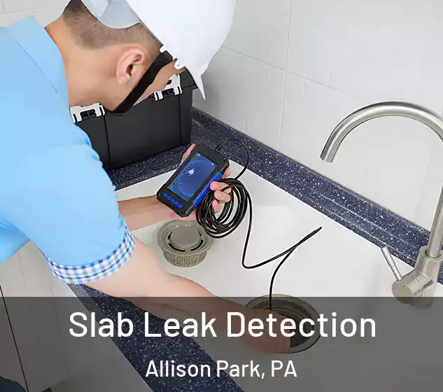  Slab Leak Detection Allison Park, PA