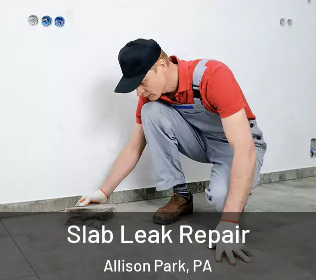  Slab Leak Repair Allison Park, PA