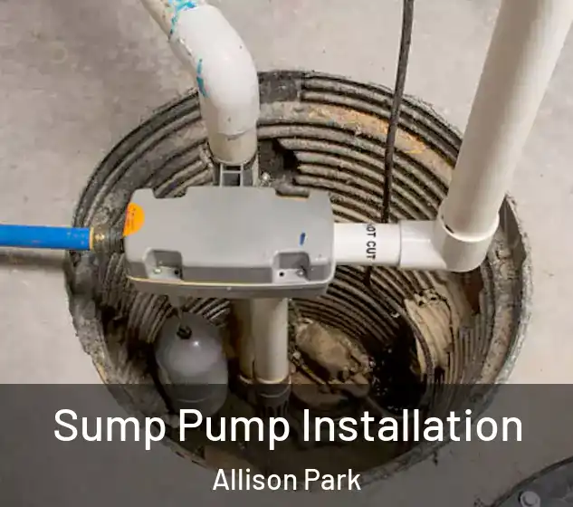  Sump Pump Installation Allison Park