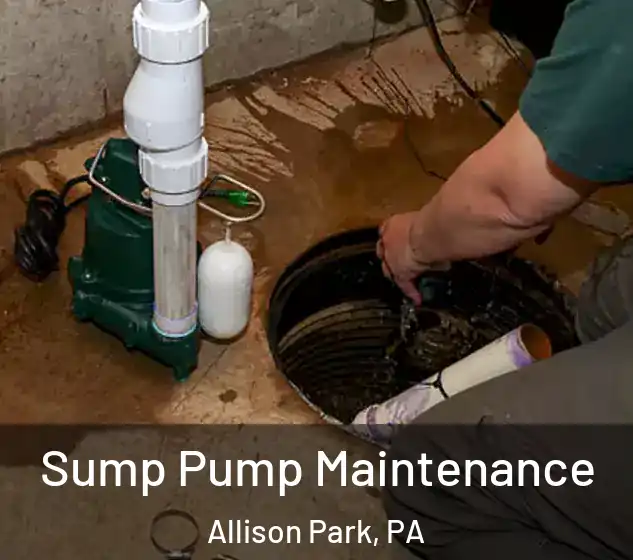  Sump Pump Maintenance Allison Park, PA