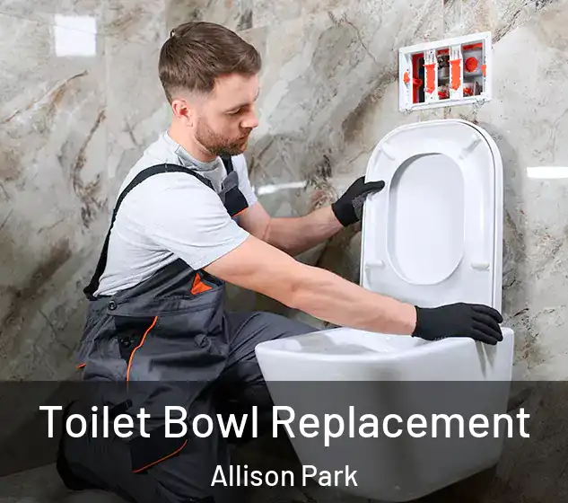  Toilet Bowl Replacement Allison Park
