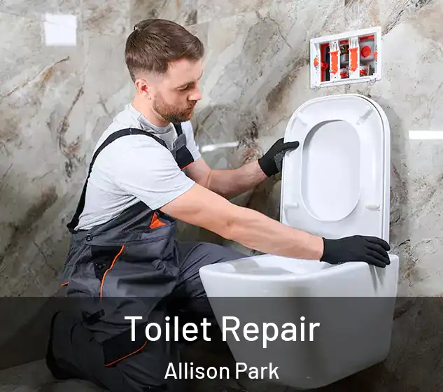 Toilet Repair Allison Park