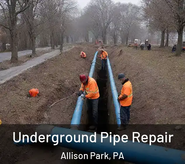  Underground Pipe Repair Allison Park, PA