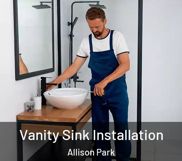  Vanity Sink Installation Allison Park