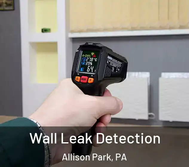  Wall Leak Detection Allison Park, PA