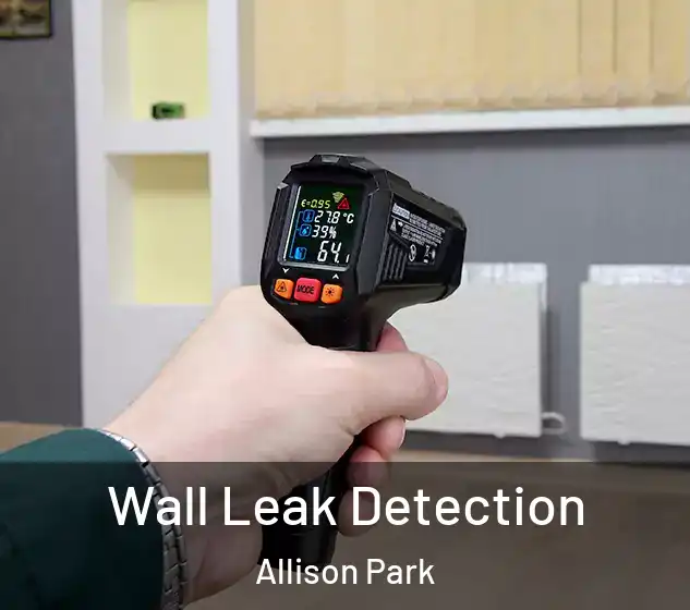  Wall Leak Detection Allison Park