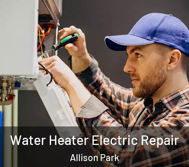  Water Heater Electric Repair Allison Park
