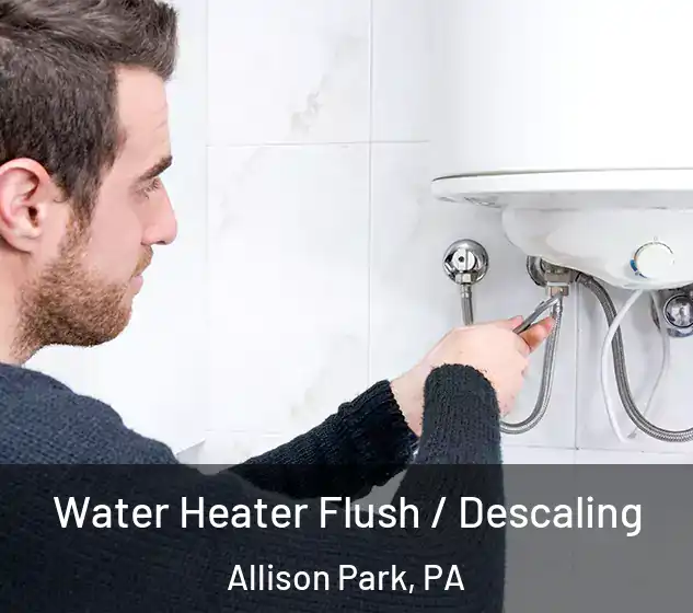  Water Heater Flush / Descaling Allison Park, PA
