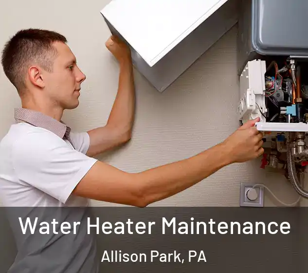 Water Heater Maintenance Allison Park, PA