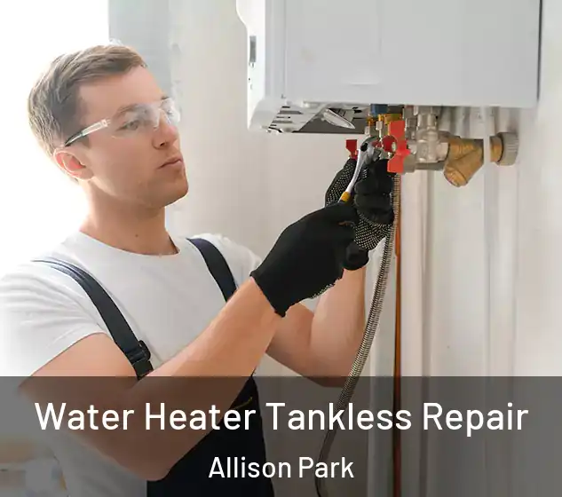  Water Heater Tankless Repair Allison Park