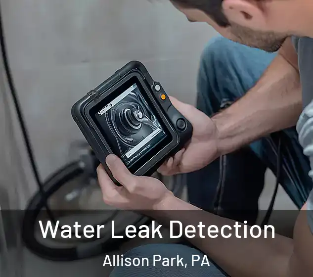  Water Leak Detection Allison Park, PA