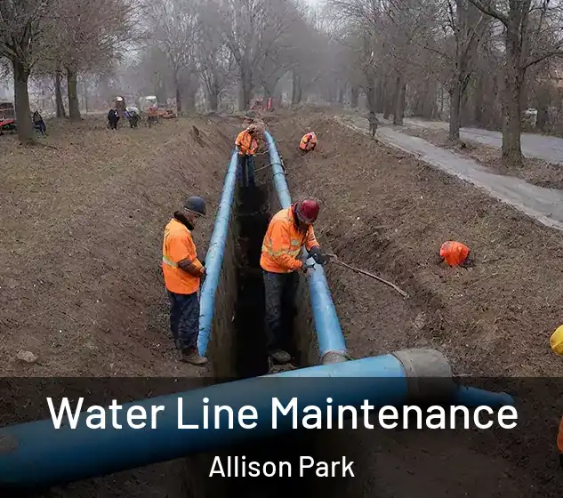  Water Line Maintenance Allison Park