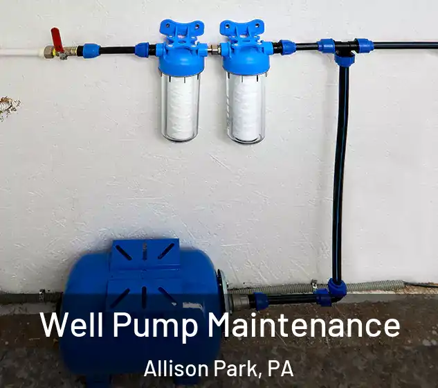  Well Pump Maintenance Allison Park, PA