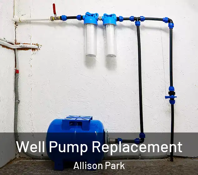  Well Pump Replacement Allison Park